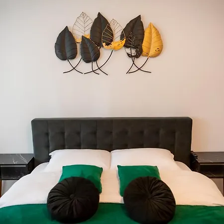 Coresi Vibe Appartement *