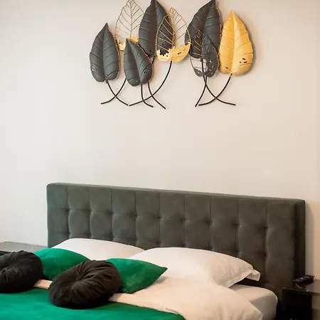Appartement Coresi Vibe Braşov