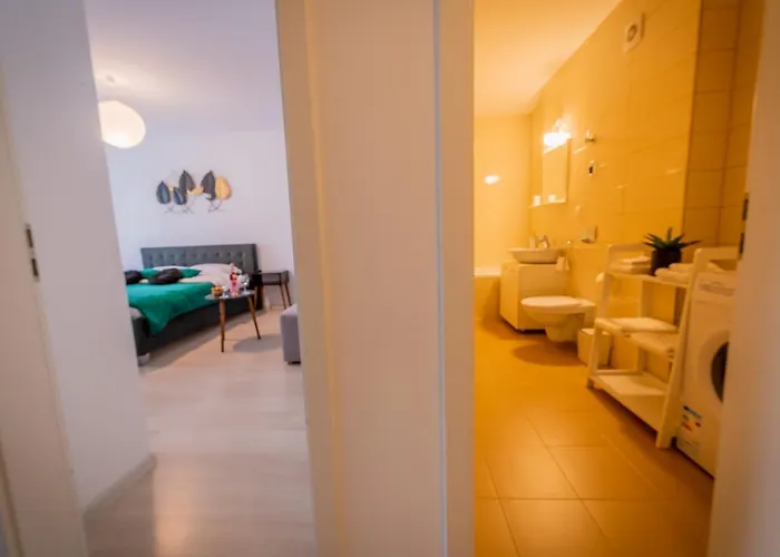 Coresi Vibe Apartment *