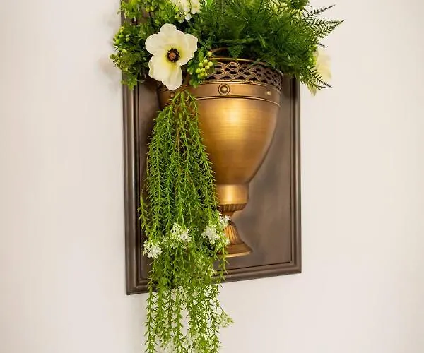 Apartment Coresi Vibe