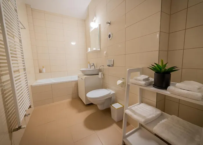 Coresi Vibe Apartment