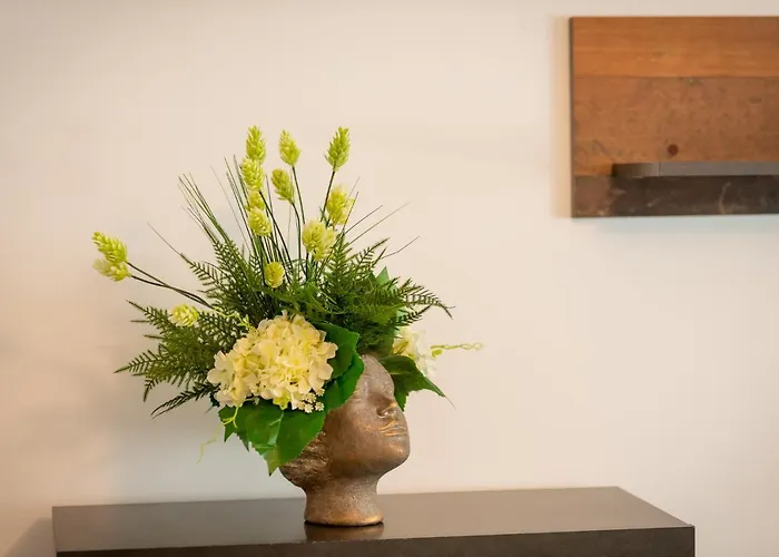 Apartment Coresi Vibe